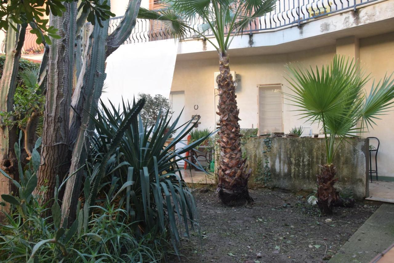 Artroom Garden Noto Extérieur photo