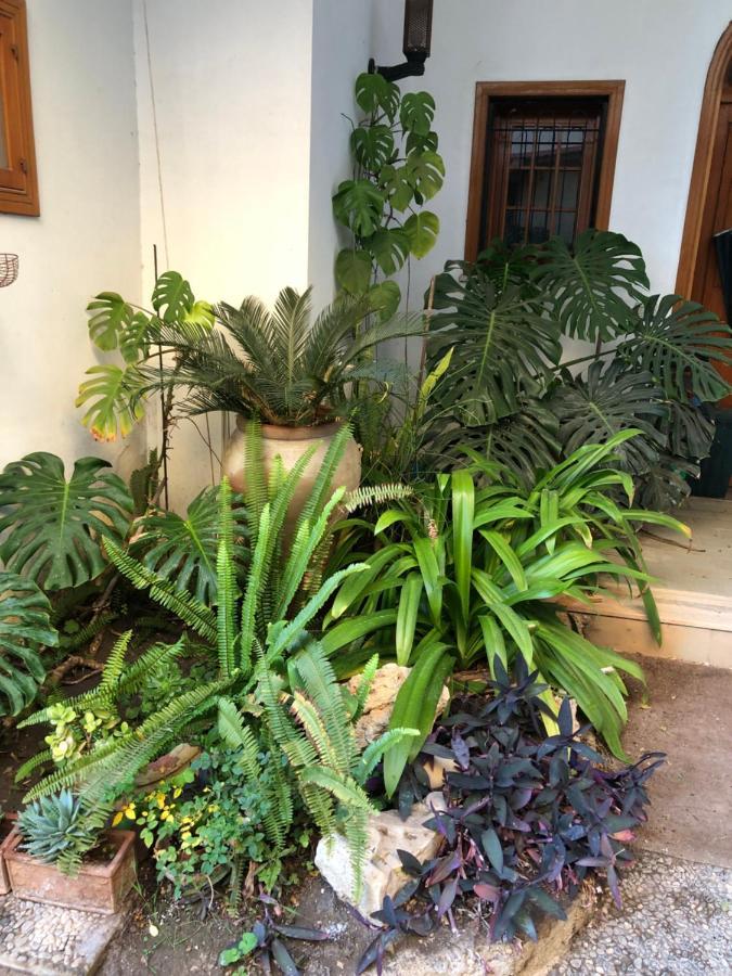 Artroom Garden Noto Extérieur photo