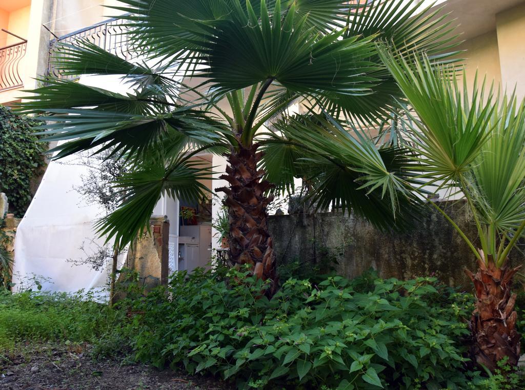 Artroom Garden Noto Extérieur photo